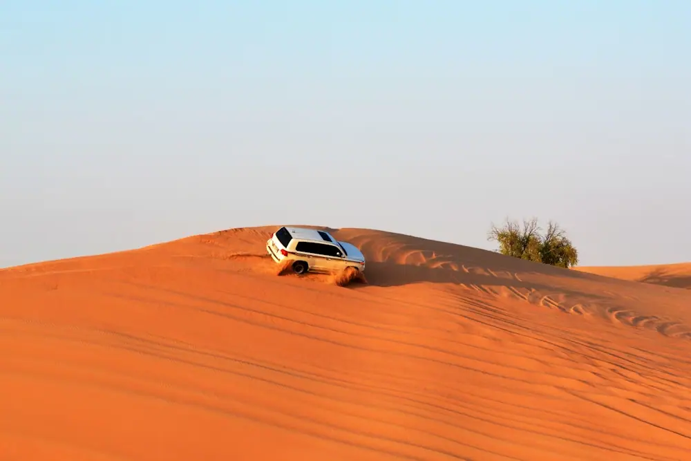 Morocco, Sahara, desert